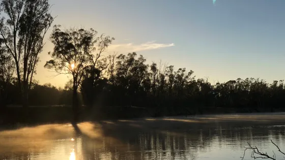 Murray River at sunset