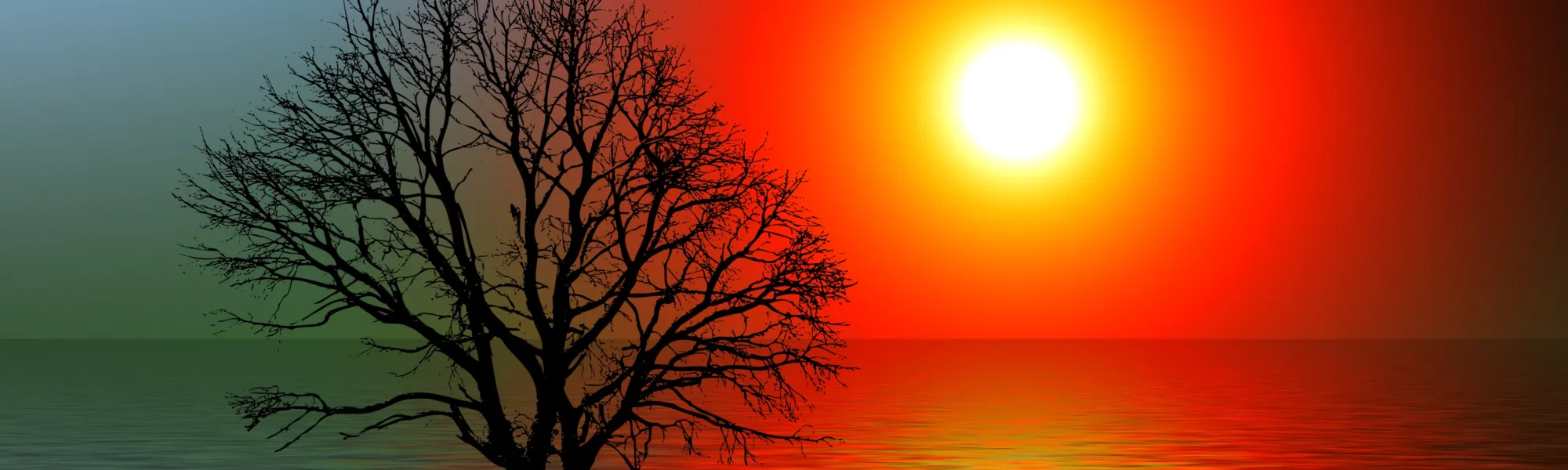 sun