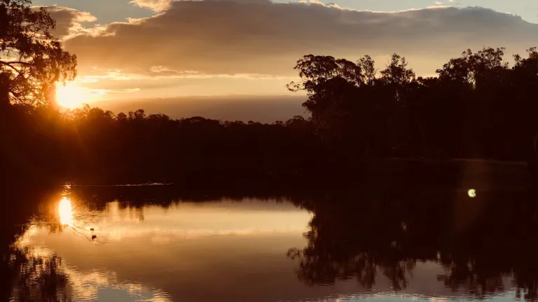 Murray river