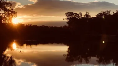 Murray river